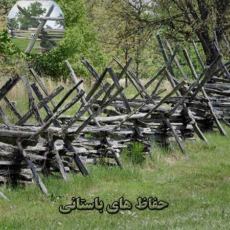 تاریخچه پیدایش شاخ گوزنی
