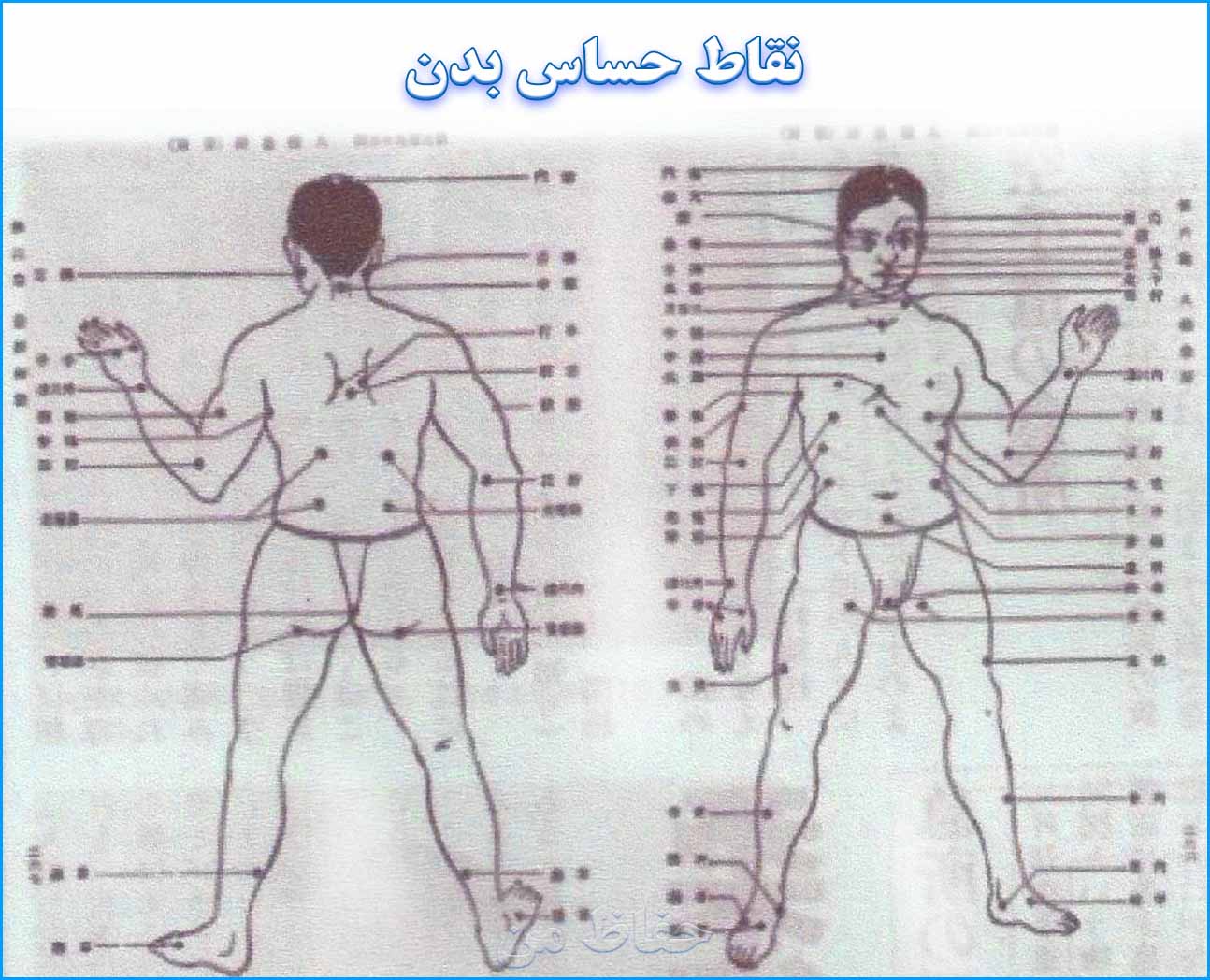 نقاط حساس بدن