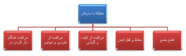 اینفوگرافی مقابله با سارقان