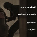اقدامات پس از دزدی