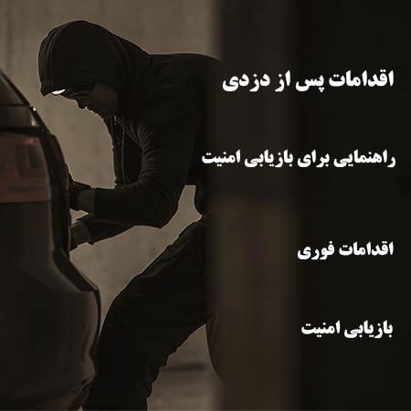 اقدامات پس از دزدی